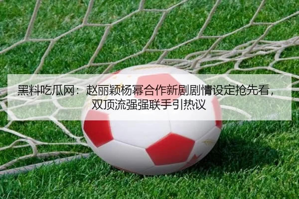 hei-liao-chi-gua-wang-zhao-li-ying-yang-mi-he-zuo-xin-ju-ju-qing-she-ding-qiang-xian-kan-shuang-ding-liu-qiang-qiang-2-863.jpg